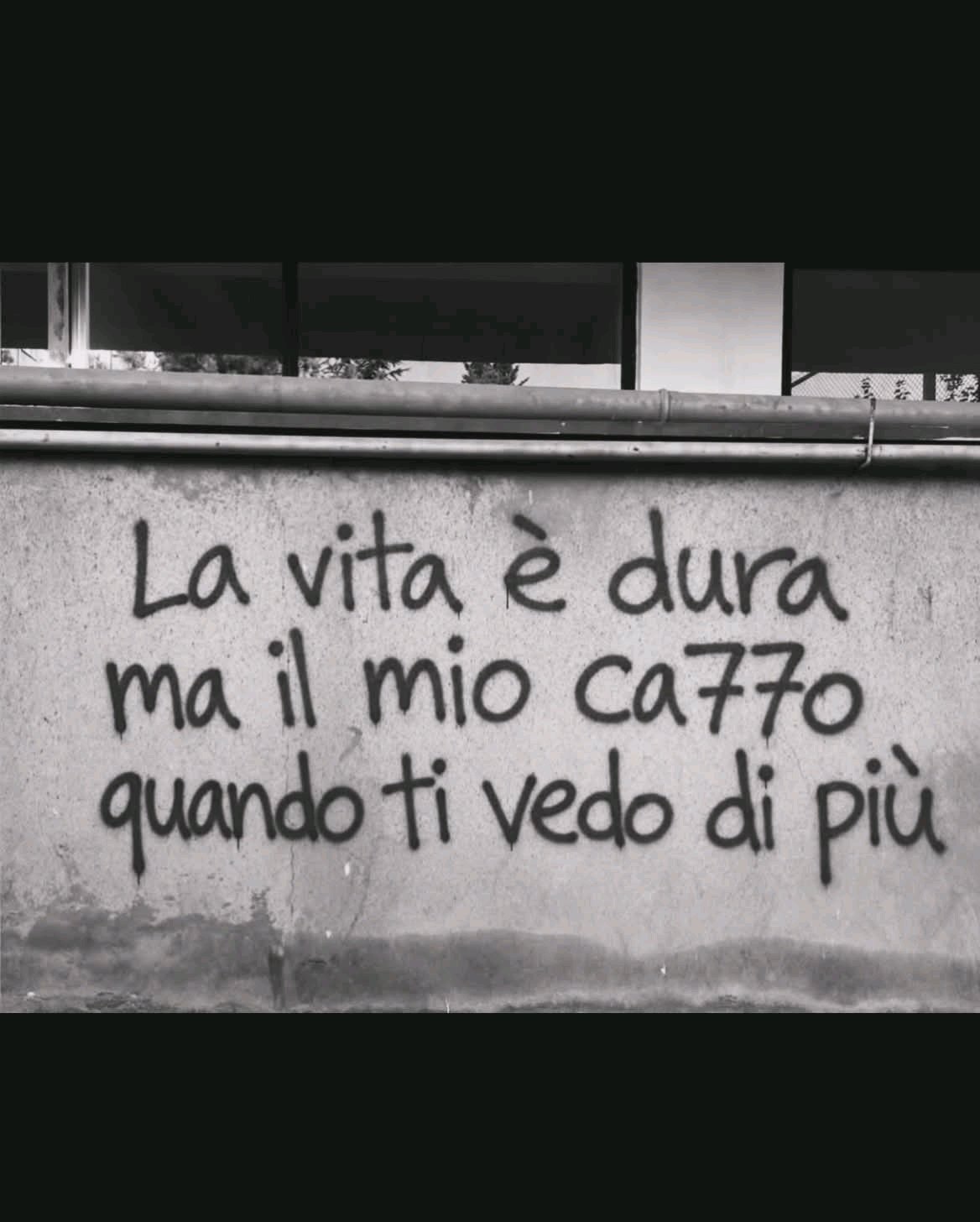 Post di prova su Meetin